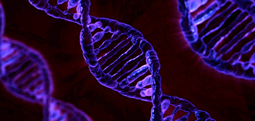 image of dna
