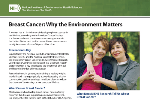image Breast Cancer Why the Environment Matters fact sheet
