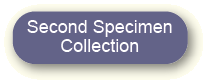 Link to Second Specimen Collection page