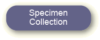 Link to Specimen Collection page